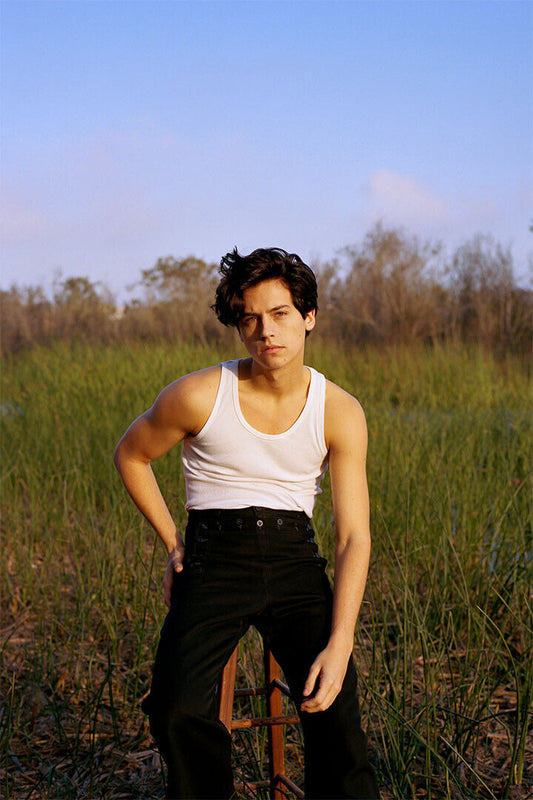 Cole Sprouse Actress Artist Actor Poster Wall Art Print Home Wall Decor - xonomax