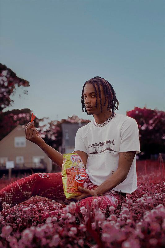 Playboi Carti 2018 Die Lit Rap Music Album Cover Poster Wall Art Print Home Wall Decor - xonomax