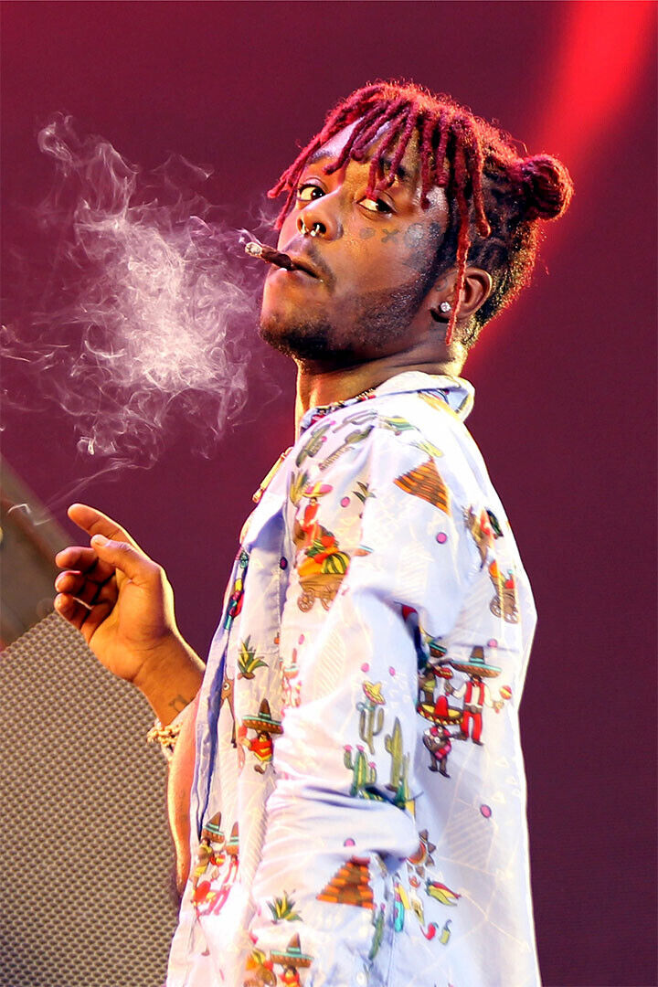 Lil Uzi Vert Hip Hop Music Rapper Singer Star Poster Wall Art Print Home Wall Decor - xonomax