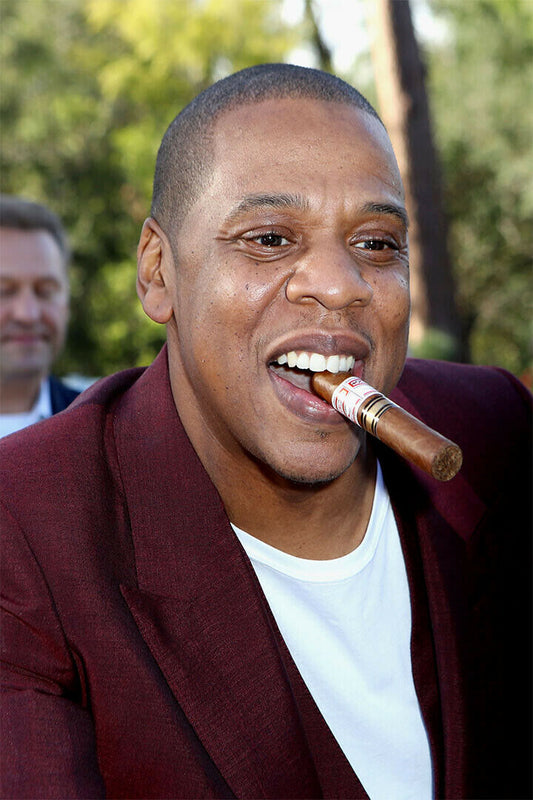 Jay Z Nice Rap Hip Hop Music Star Rapper Singer Poster Wall Art Print Home Wall Decor - xonomax