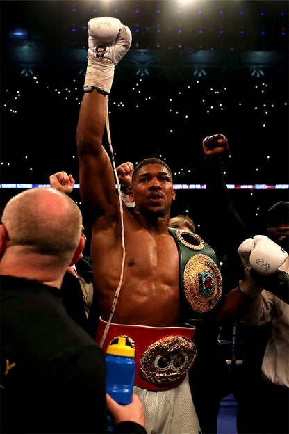 Anthony Joshua Klitschko Boxing Boxer Sport Star Poster Wall Art Print Home Wall Decor - xonomax