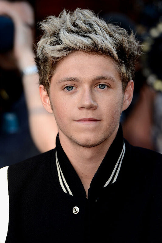 Niall Horan Rock Music Singer Star Songwriter Poster Wall Art Print Home Wall Decor - xonomax
