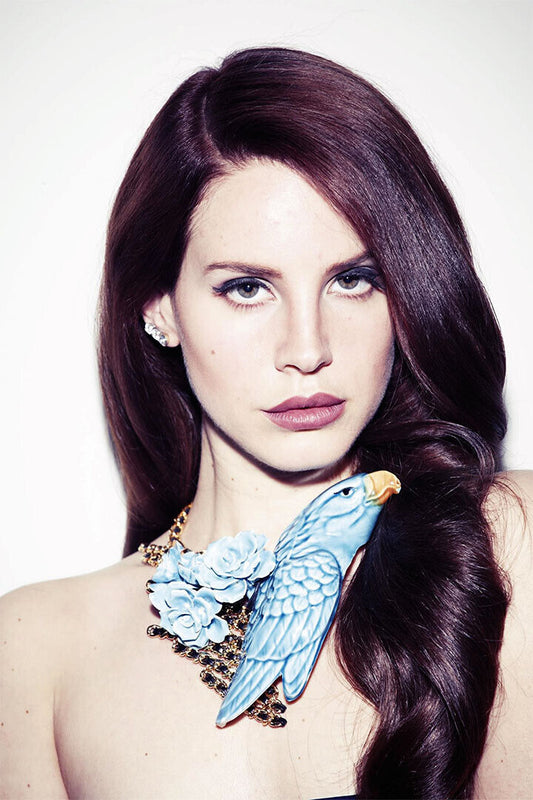 Lana Del Rey Music Singer Artist Poster Wall Art Print Home Wall Decor - xonomax