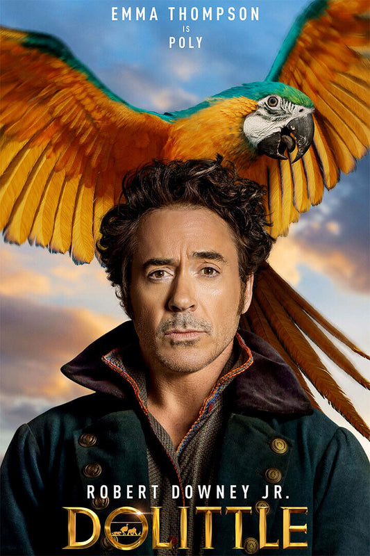 The Voyage Of Doctor Dolittle Movie 2020 Poster Wall Art Print Home Wall Decor - xonomax