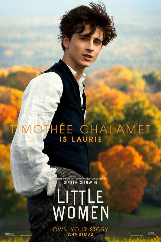 Little Women 2019 Movie Emma Watson Love Stories Poster Wall Art Print Home Wall Decor - xonomax