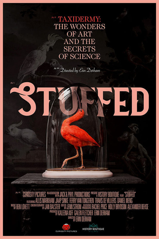 Stuffed Movie Documentary 2019 Poster Wall Art Print Home Wall Decor - xonomax