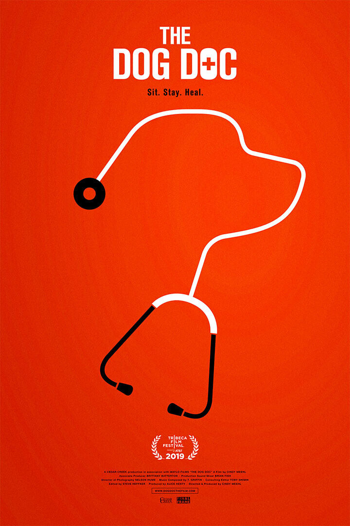 The Dog Doc Movie 2020 Documentary Poster Wall Art Print Home Wall Decor - xonomax