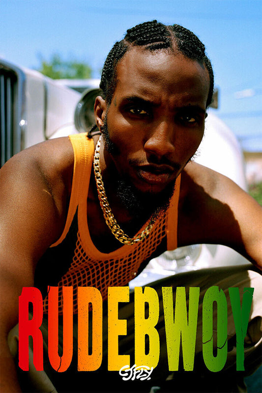Cj Fly And Statik Selektah Album Rudebwoy Poster Wall Art Print Home Wall Decor - xonomax