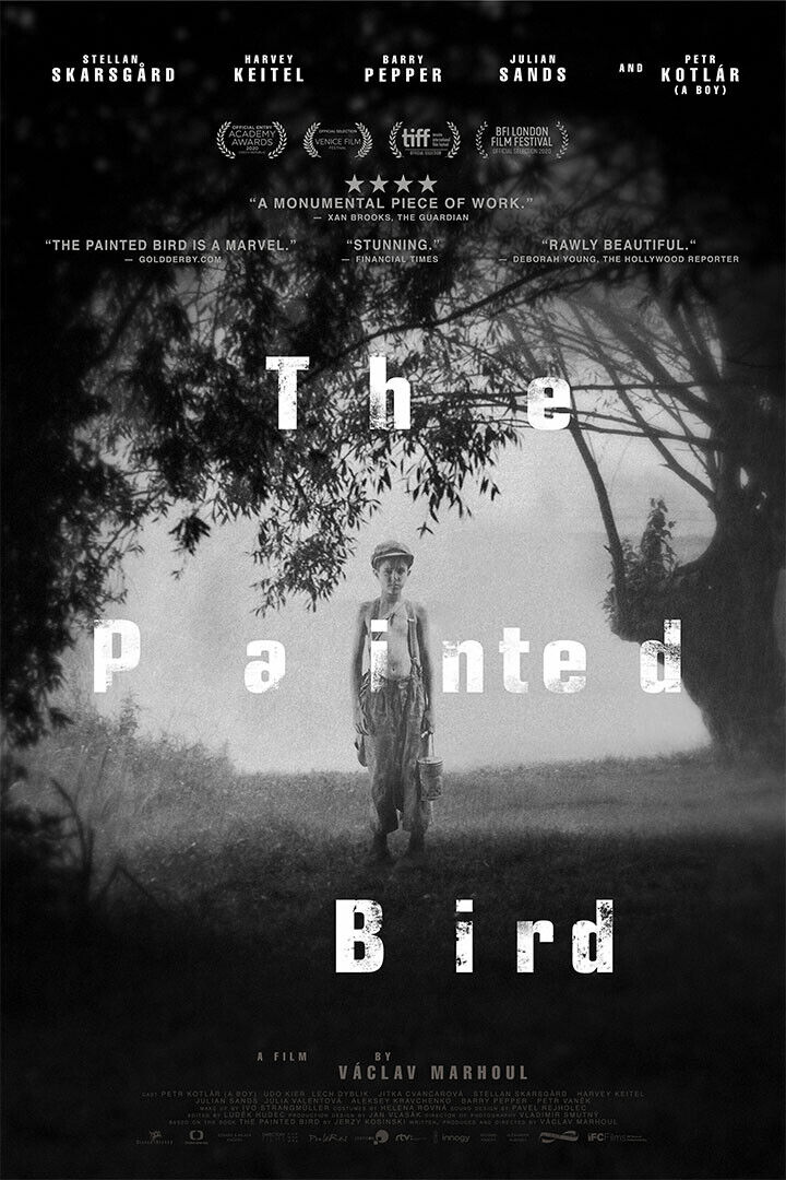 The Painted Bird Movie 2020 Drama Poster Wall Art Print Home Wall Decor - xonomax