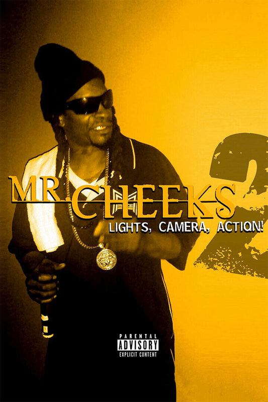 Mr. Cheeks Lost Boyz Lights Action 2 Poster Wall Art Print Home Wall Decor - xonomax