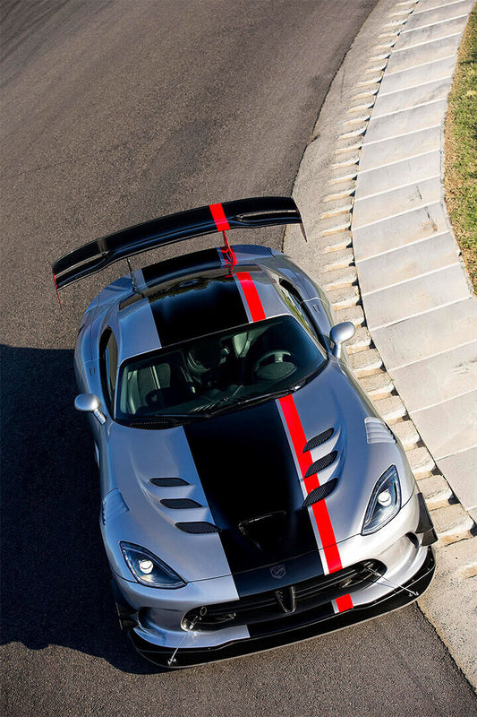 Sport Cars Dodge Viper Srt10 2010 Landscape Poster Wall Art Print Home Wall Decor - xonomax