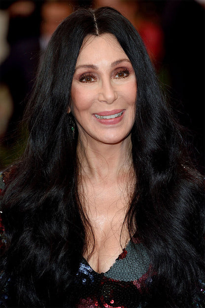 Cher Images Actor American Singer Poster Wall Art Print Home Wall Decor - xonomax