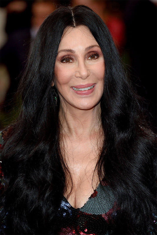 Cher Images Actor American Singer Poster Wall Art Print Home Wall Decor - xonomax