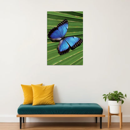 Blue Common Morpho Butterfly On Fern Frond Poster Wall Art Print Home Wall Decor - xonomax