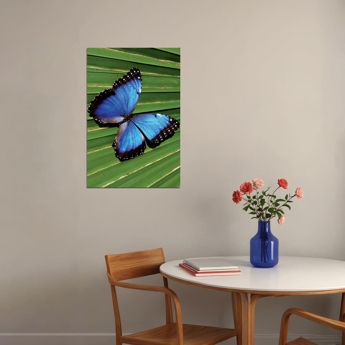 Blue Common Morpho Butterfly On Fern Frond Poster Wall Art Print Home Wall Decor - xonomax
