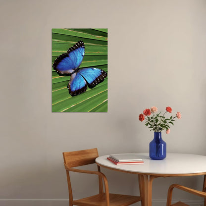 Blue Common Morpho Butterfly On Fern Frond Poster Wall Art Print Home Wall Decor - xonomax