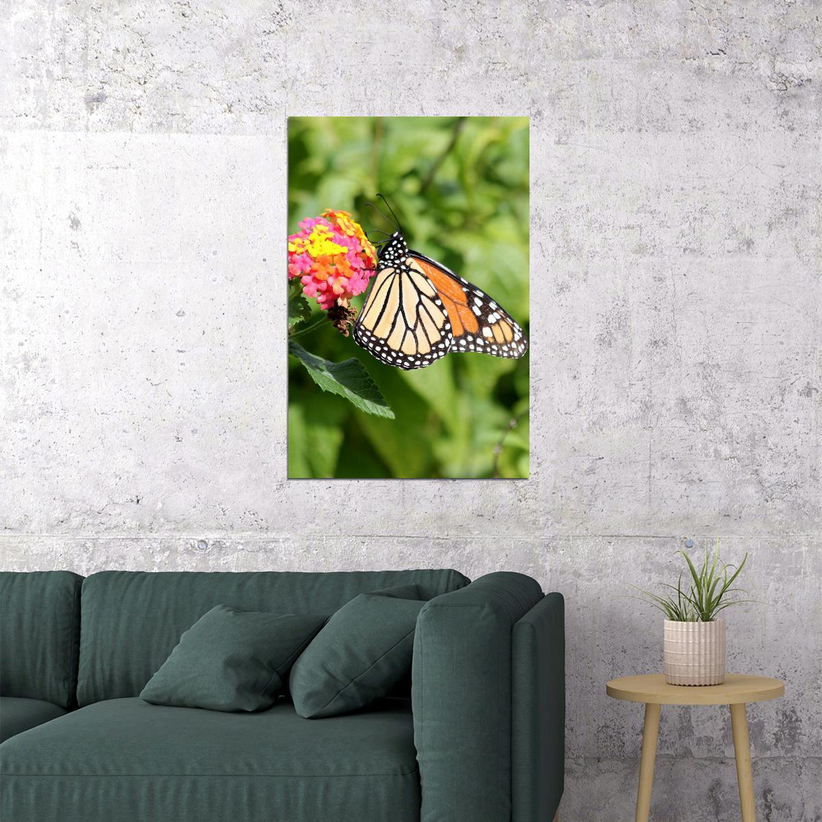 Monarch Butterfly On Yellow Flower Picture Poster Wall Art Print Home Wall Decor - xonomax