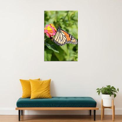 Monarch Butterfly On Yellow Flower Picture Poster Wall Art Print Home Wall Decor - xonomax