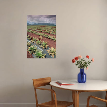 Dole Pineapple Plantation Tropical Fruits Poster Wall Art Print Home Wall Decor - xonomax