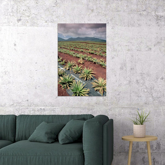 Dole Pineapple Plantation Tropical Fruits Poster Wall Art Print Home Wall Decor - xonomax