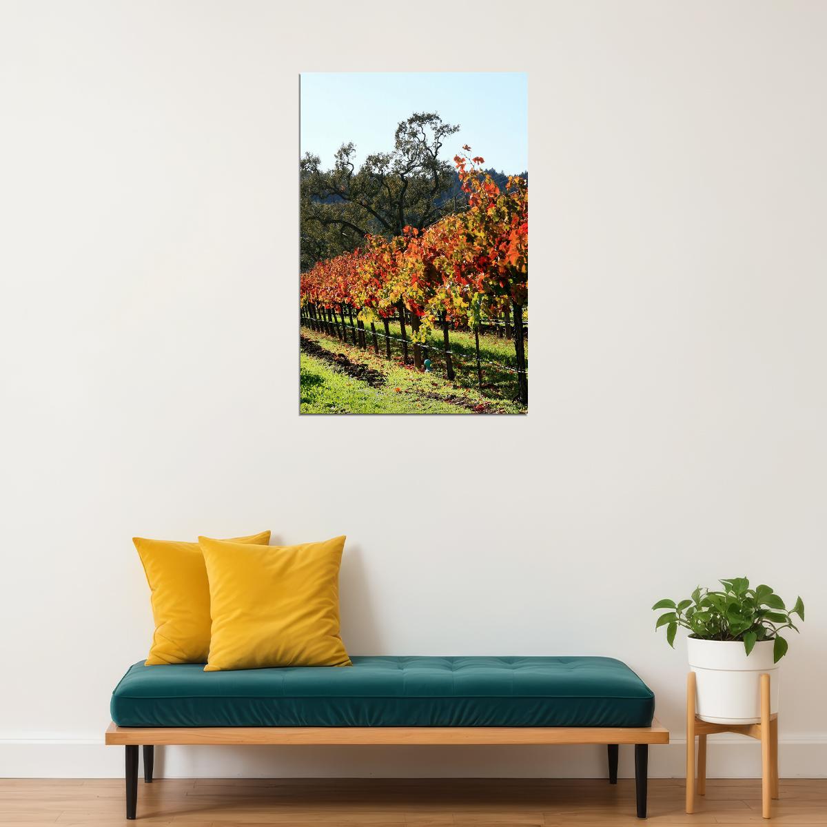Vineyard In Napa Valley Nature Landscape Poster Wall Art Print Home Wall Decor - xonomax