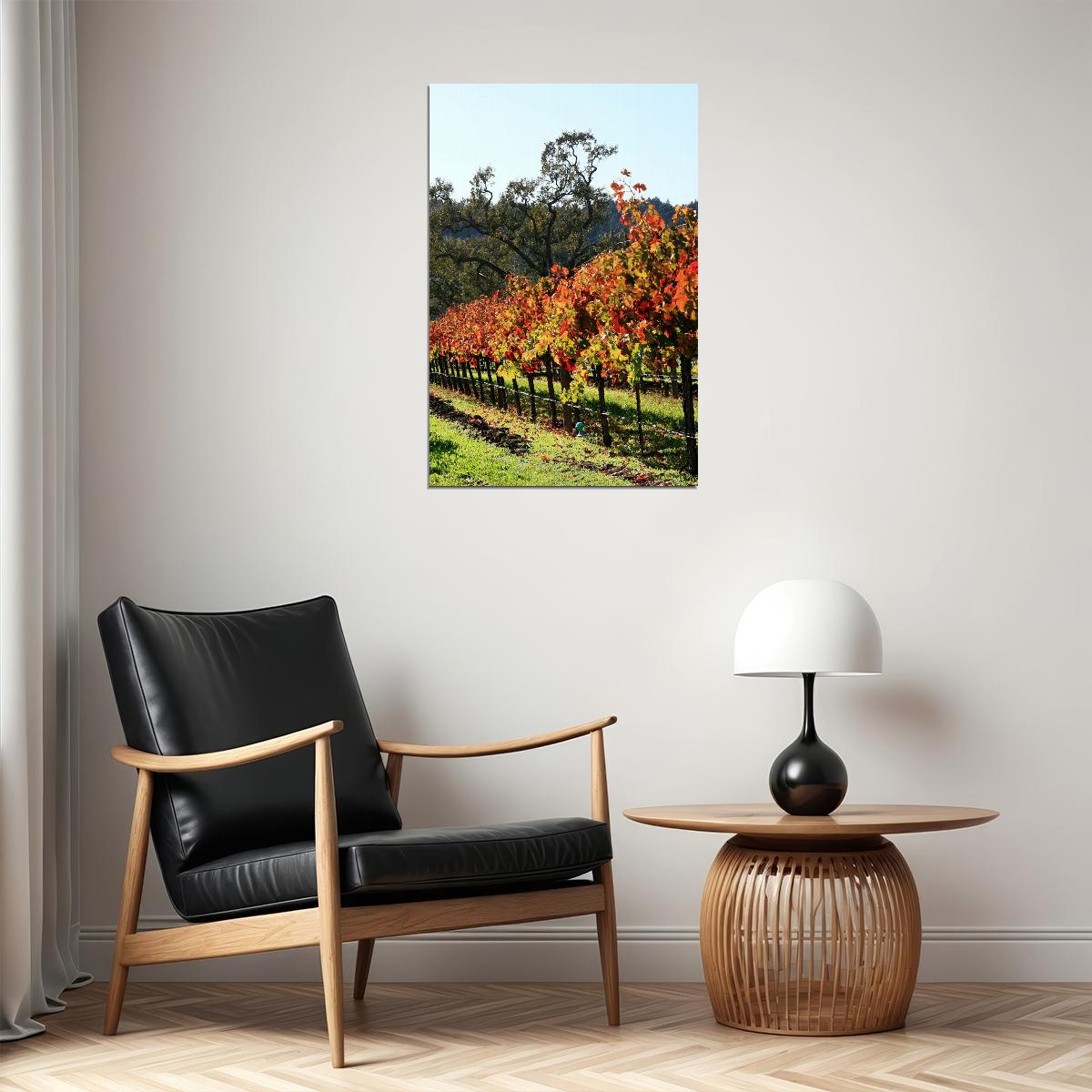 Vineyard In Napa Valley Nature Landscape Poster Wall Art Print Home Wall Decor - xonomax