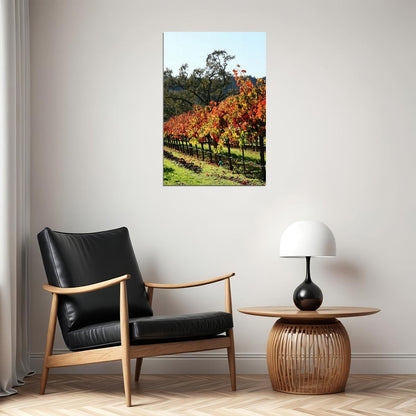 Vineyard In Napa Valley Nature Landscape Poster Wall Art Print Home Wall Decor - xonomax