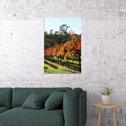 Vineyard In Napa Valley Nature Landscape Poster Wall Art Print Home Wall Decor - xonomax