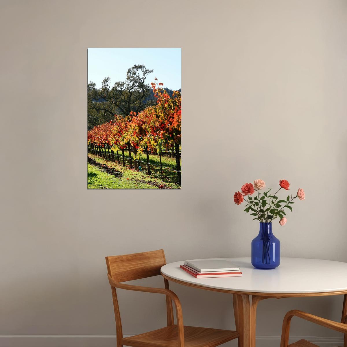 Vineyard In Napa Valley Nature Landscape Poster Wall Art Print Home Wall Decor - xonomax