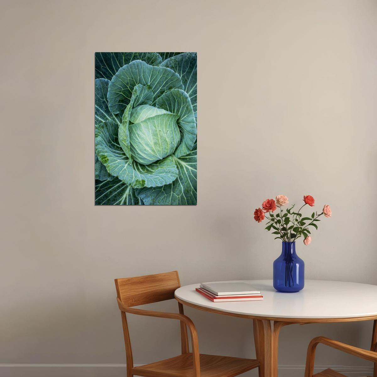 Cabbages Plant With Dense Leaves In The Field Poster Wall Art Print Home Wall Decor - xonomax