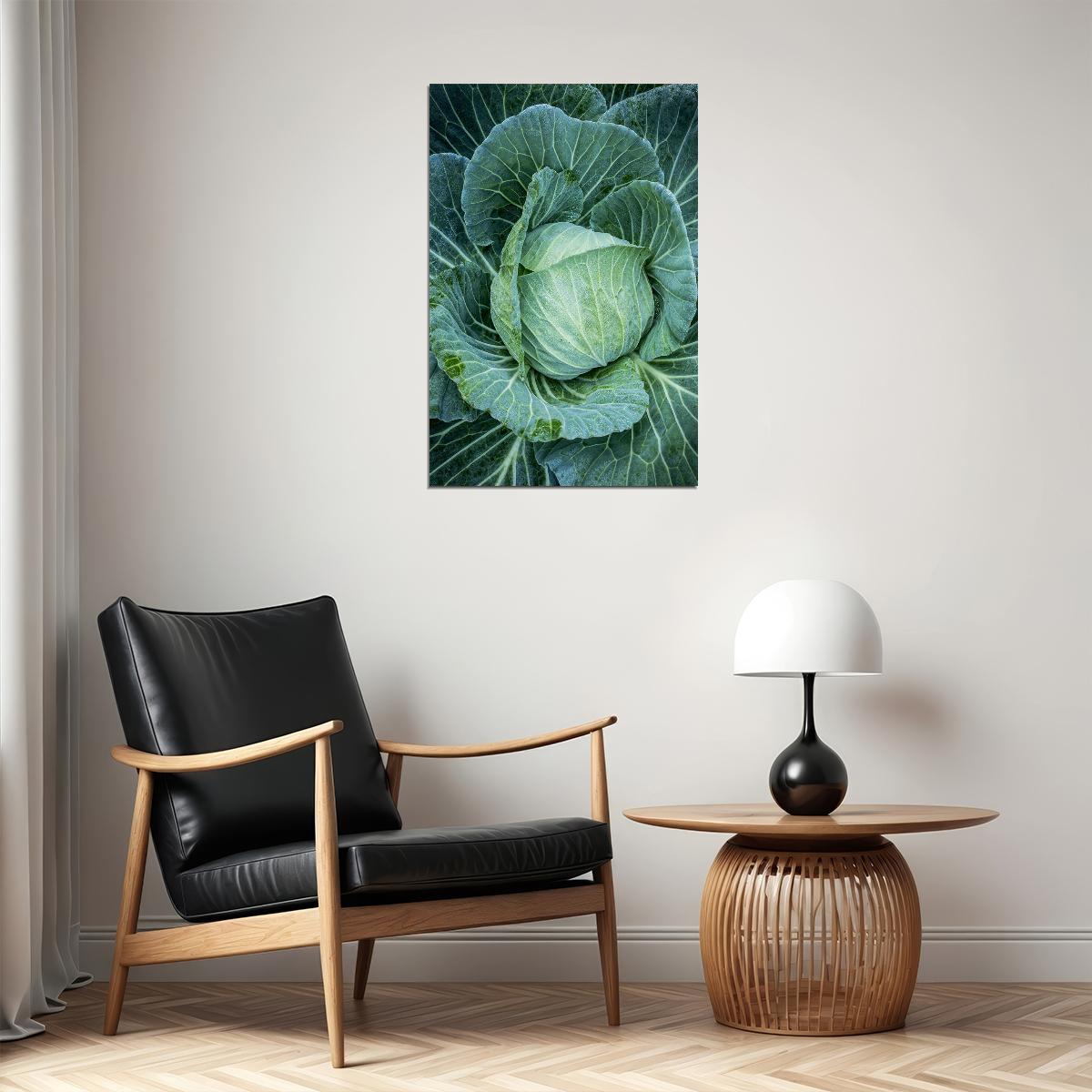 Cabbages Plant With Dense Leaves In The Field Poster Wall Art Print Home Wall Decor - xonomax