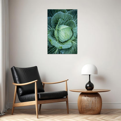 Cabbages Plant With Dense Leaves In The Field Poster Wall Art Print Home Wall Decor - xonomax