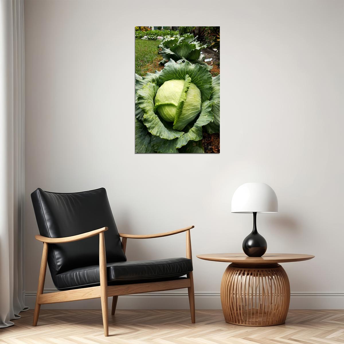 Cabbages Plant With Dense Leaves In The Garden Poster Wall Art Print Home Wall Decor - xonomax