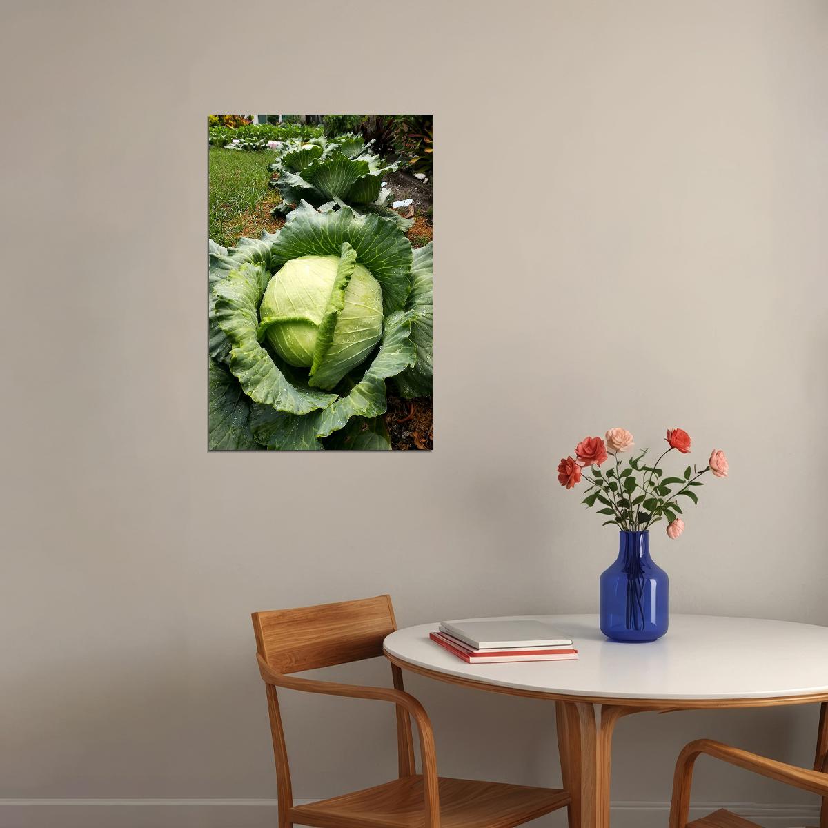 Cabbages Plant With Dense Leaves In The Garden Poster Wall Art Print Home Wall Decor - xonomax