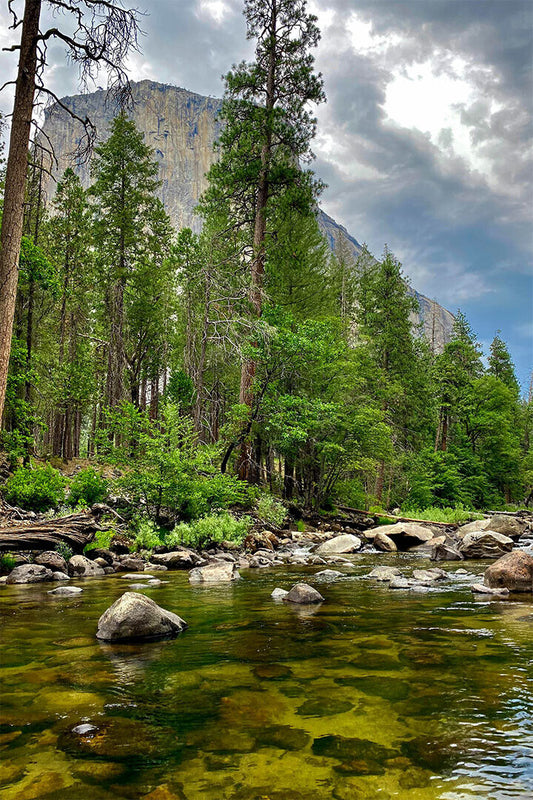 Merced River In Yosemite Landscape Picture Poster Wall Art Print Home Wall Decor - xonomax