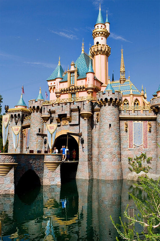 Sleeping Beauty's Castle Tale Fantasy Poster Wall Art Print Home Wall Decor - xonomax