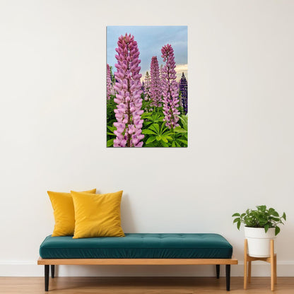 Lupine Leaf Cluster Garden Nature Poster Wall Art Print Home Wall Decor - xonomax
