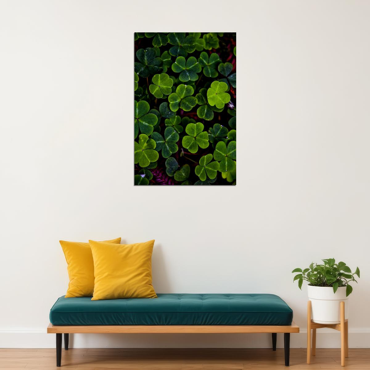 Clover Colorful Flowering Plant Poster Wall Art Print Home Wall Decor - xonomax