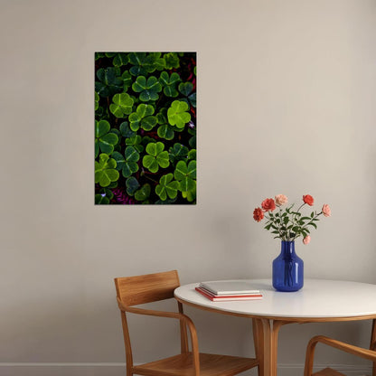 Clover Colorful Flowering Plant Poster Wall Art Print Home Wall Decor - xonomax