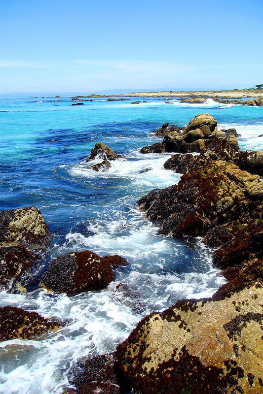 Coastline At Pebble Beach Tourist Area Sea Poster Wall Art Print Home Wall Decor - xonomax
