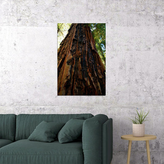 Trunk And Lower Branches Of Giant Redwood Poster Wall Art Print Home Wall Decor - xonomax