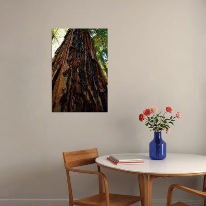 Trunk And Lower Branches Of Giant Redwood Poster Wall Art Print Home Wall Decor - xonomax