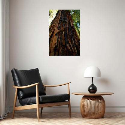 Trunk And Lower Branches Of Giant Redwood Poster Wall Art Print Home Wall Decor - xonomax