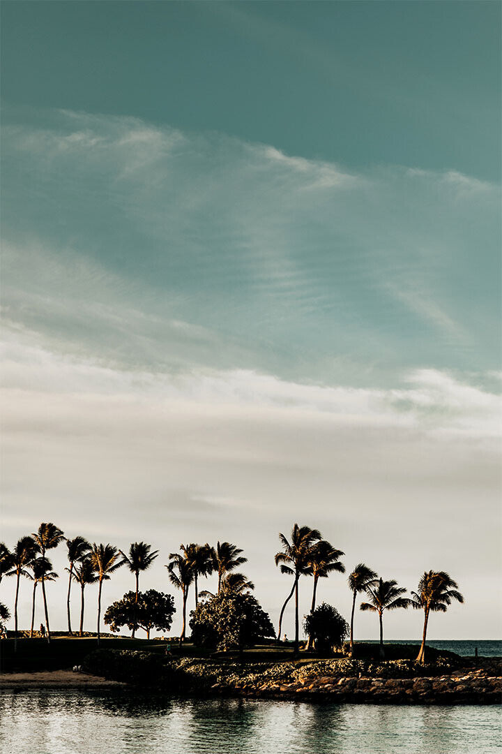 Mount Mouaroa And Palm Trees Landscape Poster Wall Art Print Home Wall Decor - xonomax