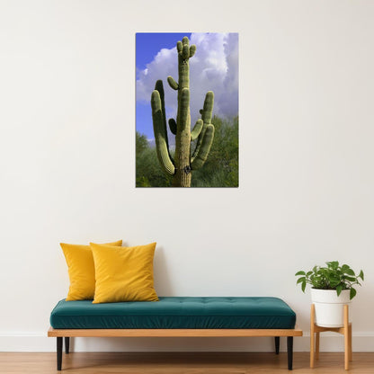 Giant Saguaro Cactus Picture Thorny Plants Poster Wall Art Print Home Wall Decor - xonomax