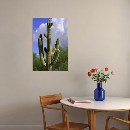 Giant Saguaro Cactus Picture Thorny Plants Poster Wall Art Print Home Wall Decor - xonomax