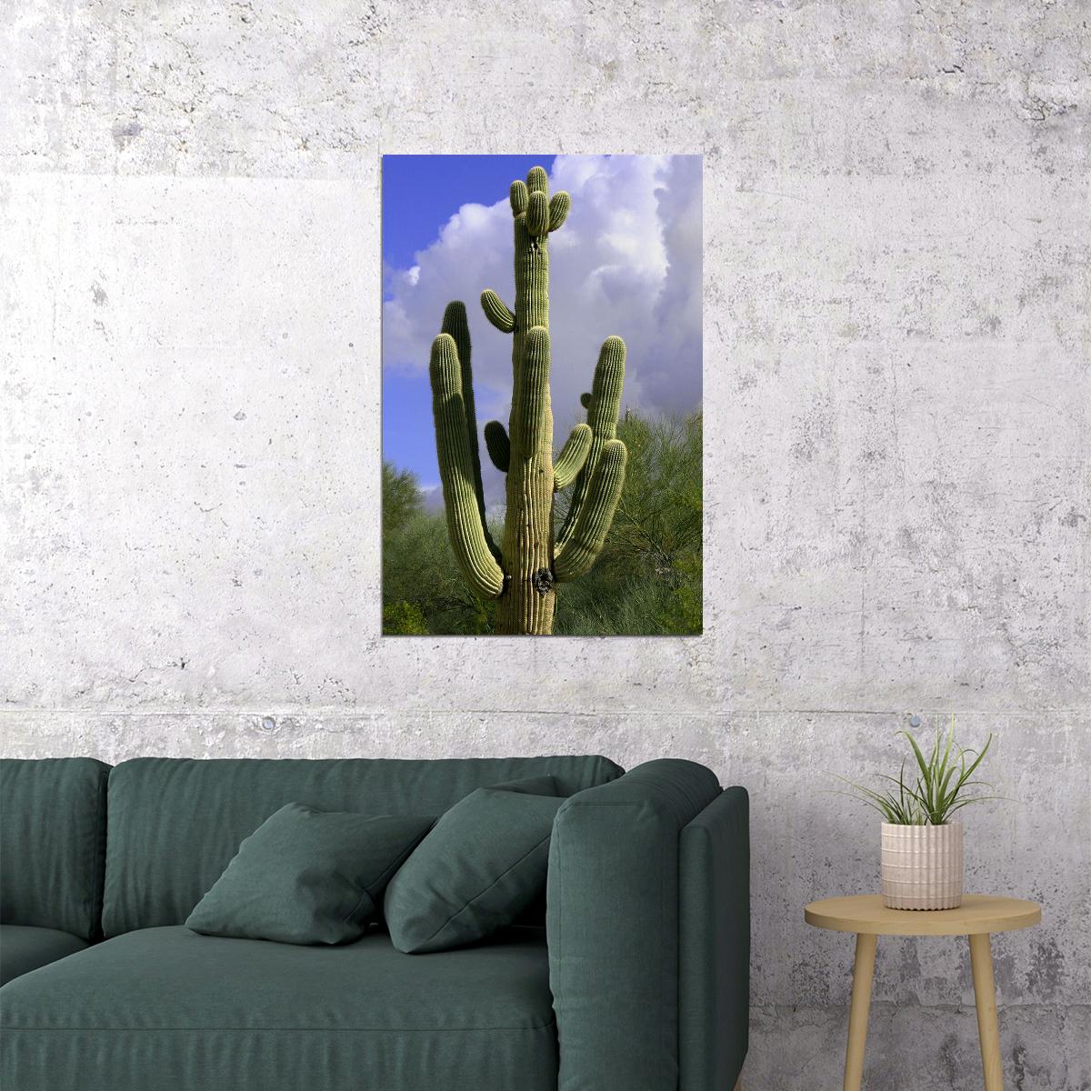 Giant Saguaro Cactus Picture Thorny Plants Poster Wall Art Print Home Wall Decor - xonomax