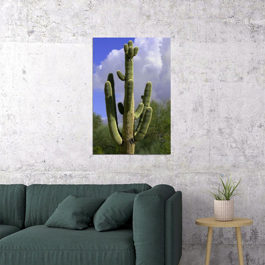 Giant Saguaro Cactus Picture Thorny Plants Poster Wall Art Print Home Wall Decor - xonomax