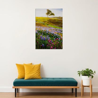 Meadow With Wildflowers Colorful Plants Poster Wall Art Print Home Wall Decor - xonomax