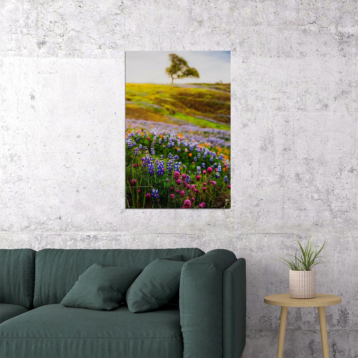 Meadow With Wildflowers Colorful Plants Poster Wall Art Print Home Wall Decor - xonomax